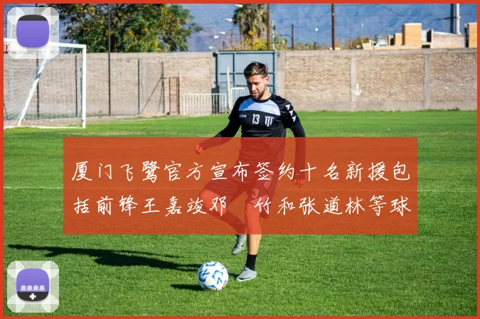 厦门飞鹭官方宣布签约十名新援包括前锋王嘉竣邓棽竹和张道林等球员