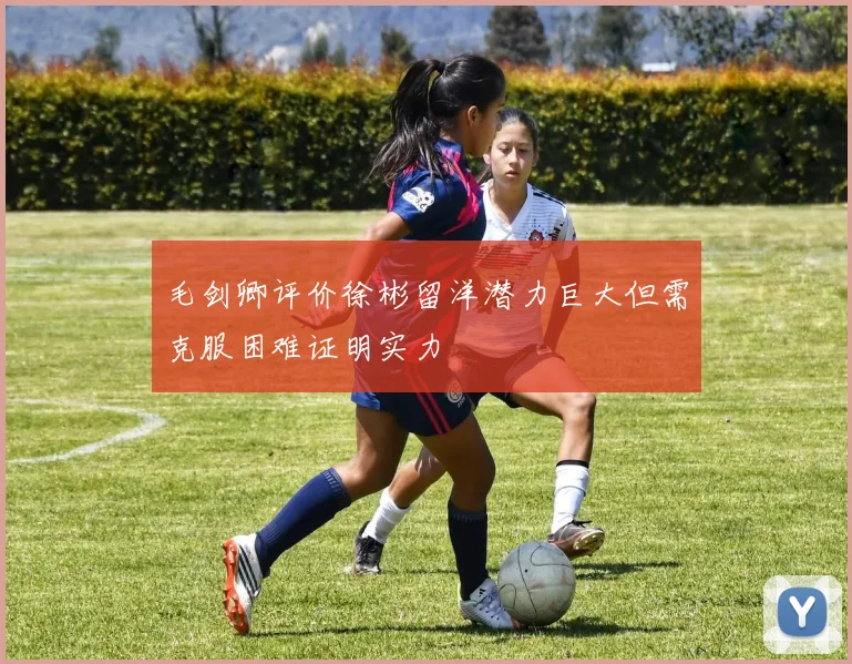 毛剑卿评价徐彬留洋潜力巨大但需克服困难证明实力