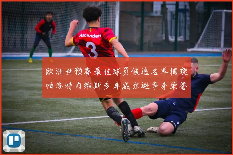 欧洲世预赛最佳球员候选名单揭晓帕洛特内维斯多库威尔逊争夺荣誉