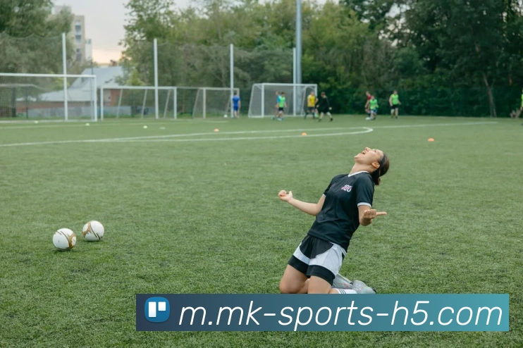 MK体育发展历程